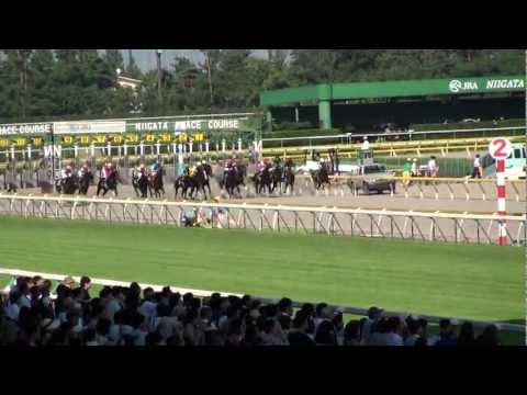 2012年8月5日（日）2回新潟8日　第4回レパードステークス（GIII） ホッコータルマエ