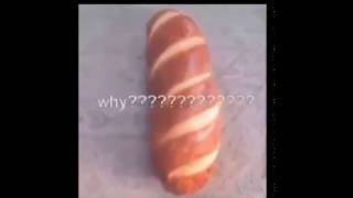 Dog rolls into bread meme