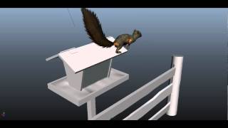 Squirrel stealing grain (Білочка краде зерно) Squirrel stealing grain (Білочка краде зерно)