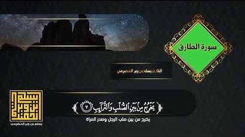جديد | سورة الطارق| القارئ يسلم بن وبر الحضرمي