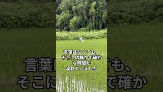 兄弟が来てくれた日