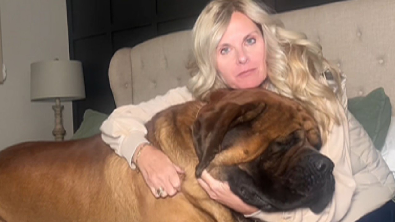 В 2:14 утра два 82-килограммовых английских мастифа обвились вокруг больной женщины — и она након...