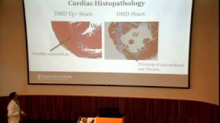 KCU - Kansas City University of Medicine and Biosciences