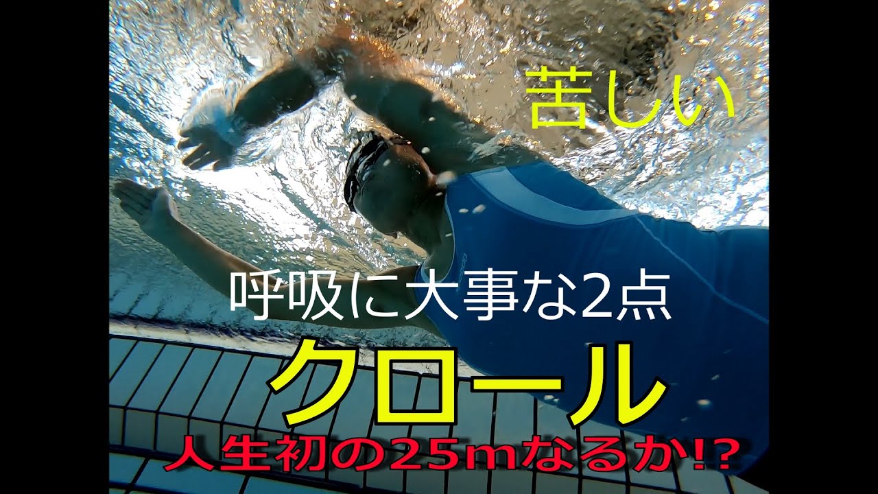 大人から始める水泳 息継ぎから卒業しよう Youtube
