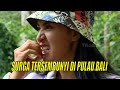 Full surga tersembunyi di pulau bali  jejak petualang 091022