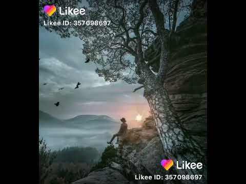 سيدا برينج اجمل حالة واتس اب