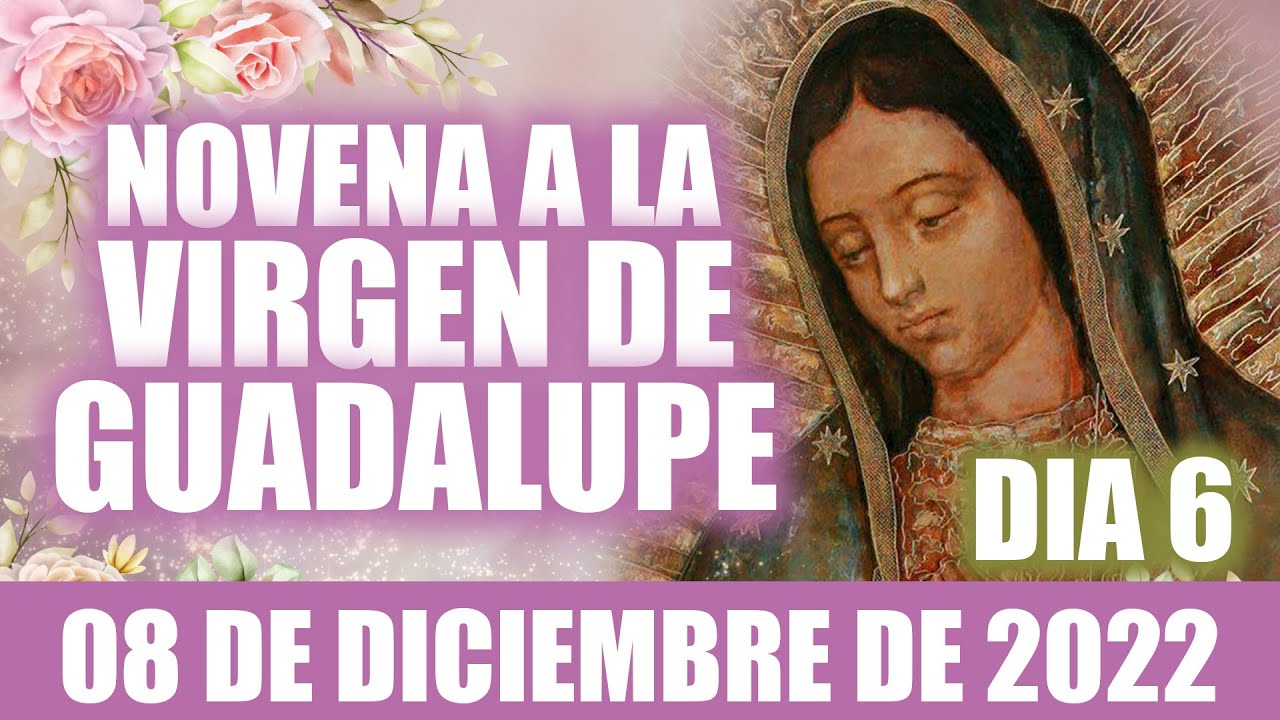 Novena a la Virgen de Guadalupe 🙏 Día 6 Hoy 08 de diciembre de 2022