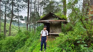 inilah de ilham,,bocah SMP umur 14 thn yang pemberani, Tinggal di tengah hutan untuk berkebun... 