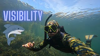 SHARKS OF BRITAIN -  Sea Visibility • Exploring a Seal Colony • UK Sharks series