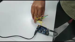 Celebrity Task 1 Lab 7 Embedded System ( Yellow and Red LEDs) Profile