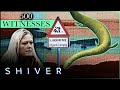 Norway's 50 Meter Sea Serpent Called "Selma" | Boogeymen | Shiver