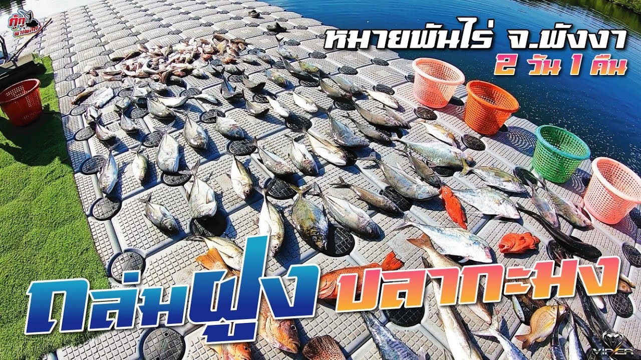 2วัน1คืนกับหมายพันไร่ จ.พังงา | ตกปลาแบบนี้ งัดกันทั้งวัน