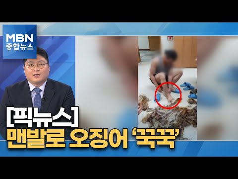 [픽뉴스]맨발로 오징어 '꾹꾹' / 다리 무너뜨린 폭염 / 달리던 선수 목에 카메라 줄 / 선 넘은 얌체 주차 [MBN 종합뉴스]