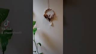 macrame flower wreath magic 2