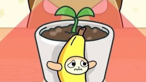 Hide and seek cat Live #catgame #hide&seekcat