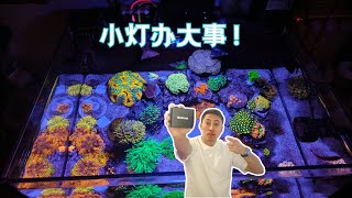 钜彩(Keloray) SK75 海缸灯，我被惊艳到了！