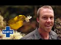 Watch the LENGTHS These Bowerbirds Go to Attract a Mate 💕 | Full Episode | Wildlife of Tim Faulkner