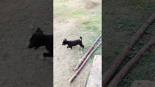 😭😭😭😭😭 Bay 3