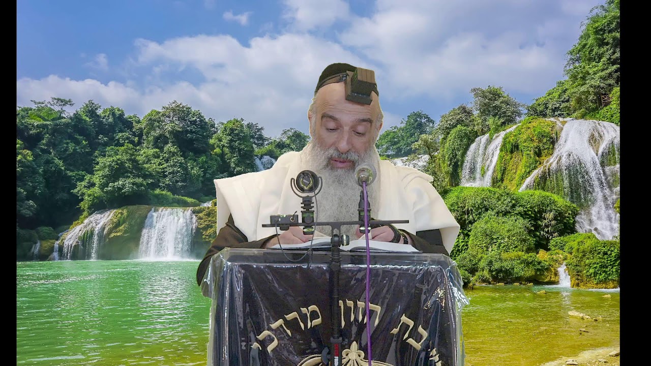 הרב מאיר דוד שמואלי - המשיח בפתח, אם נרצה!!