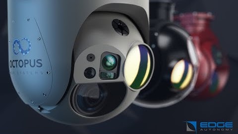 Octopus Payload Compilation During AEWE 2022