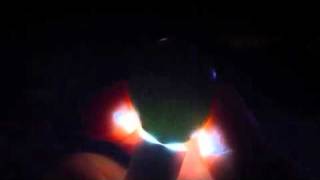 Candling Button Quail Egg