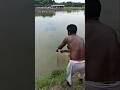 unbelievable big Black carp fish catching by hook #fishing #fish #carpfishing #viralvideos