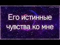 Его истинные чувства ко мне, что: Было, Есть и Будет? | Таро гадание онлайн