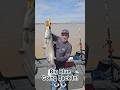 Great way to break the skunk! #shortvideo #fishing #trackerboats #catfishing