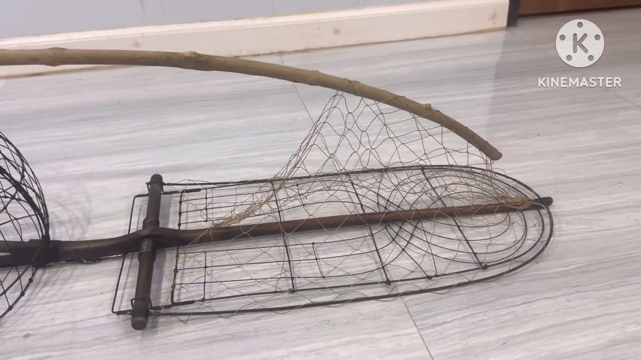 เพนียดนกเขา : เปลี่ยนคอนเพนียดนกเขาใหญ่