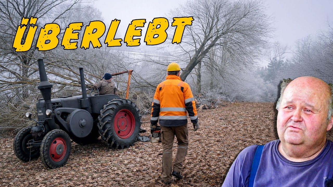 Lanz Bulldog verhindert tödlichen Baumfäll Unfall!