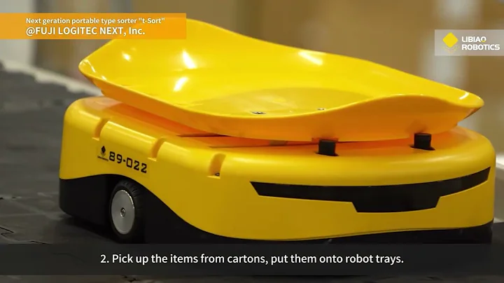 3PL T-SORT SYSTEM--Libiao Robotics