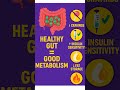 GUT EFFECTS WEIGHT LOSS &amp; METABOLISM #weightloss #metabolism #guthealth #weightlossjourney #sugar