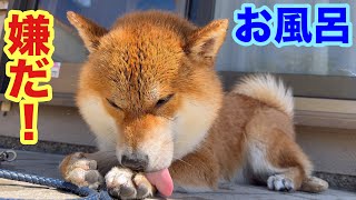 ヤダヤダお風呂の日…！