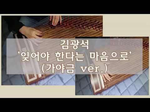김광석 '잊어야 한다는 마음으로'(가야금 ver.)