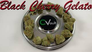 Black Cherry Gelato by Pure Greens Genetics