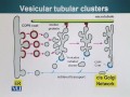 BIO201 Cell Biology Lecture No 161