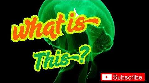 Goed om te weten over GFP (Green Fluorescent Protein)