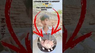I Found World's Largest Cat🤯😶🌫️on google maps and google earth #shots #hrbro76 #trending #explore