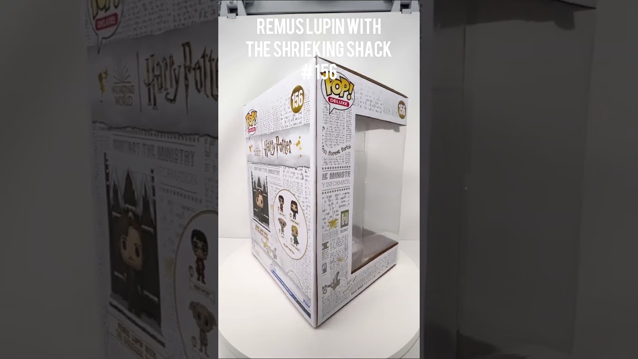 Remus Lupin With The Shrieking Shack 