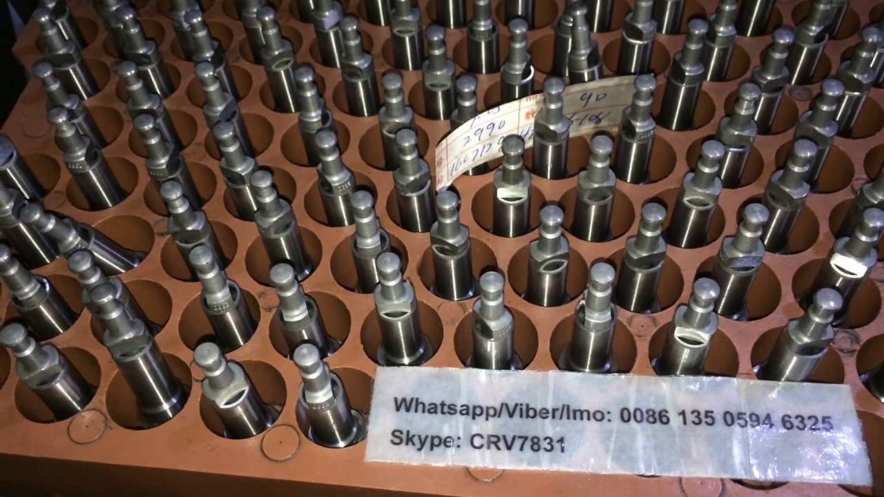 Diesel Plunger / Element 090150-2990 for HINO from China factory