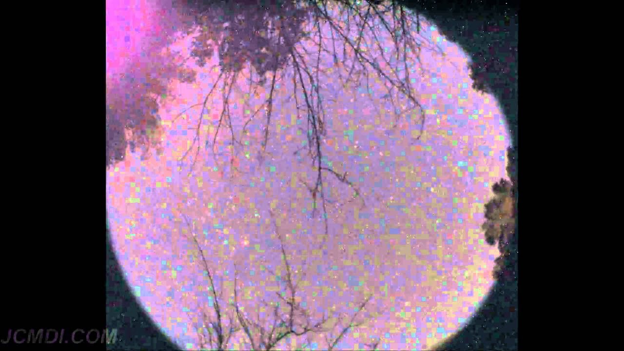 Fisheye StarSpin timelapse Canon SX10 ISO800,f2.7,20sec V08556