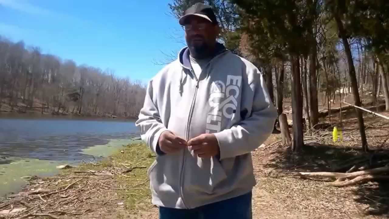 "The running of the bullheads" catfishing Spa Lake, Kentucky. YouTube