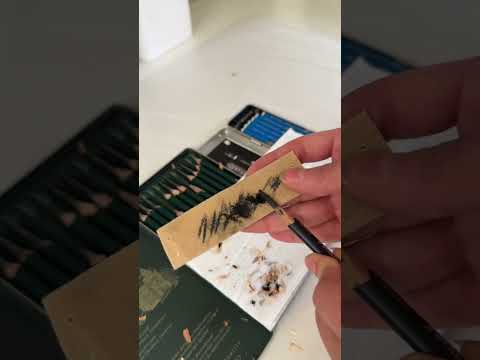 طريقة بري القلم للرسامين 