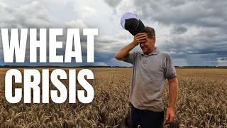 US Wheat CRISIS
