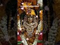 #udukkai #murugan #devotional #shorts
