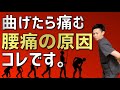 曲げたら痛む腰痛の原因はほとんどコレです。