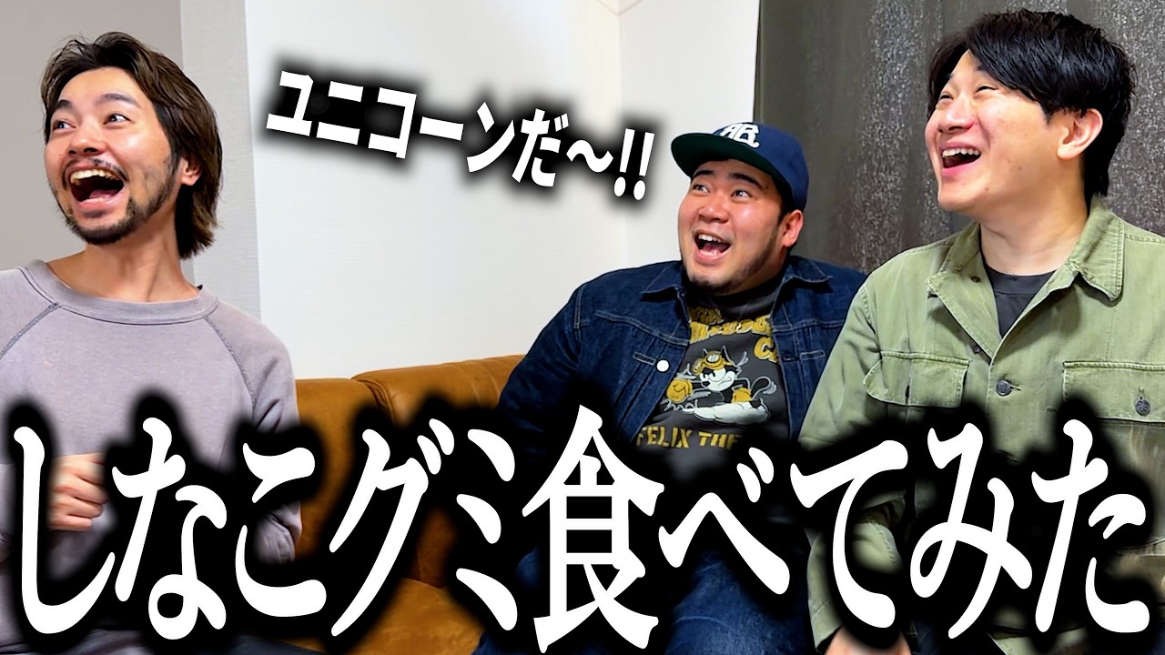 しなこグミ食べて、しなこワールドに迷い込む奴【カラフル】【ポップ】【ふるさと納税】