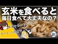 【ゆっくり解説】玄米毎日食べると！？本当の健康に効果について