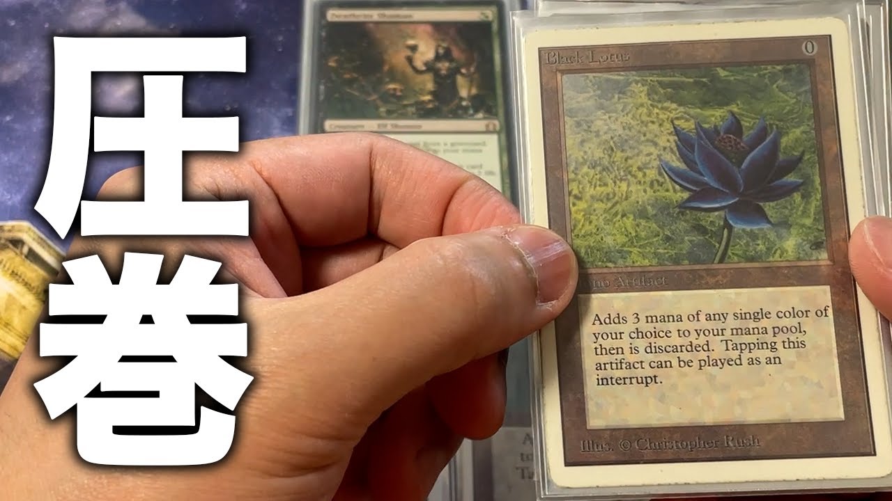 大量査定 1000万円 世界に1枚のコレクションが登場 後編 Mtg Assessment Of Only One Thing2 Mtgtube