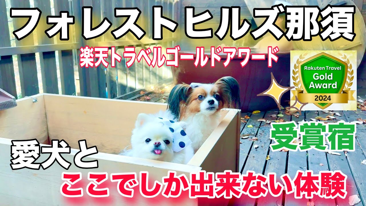 フォレストヒルズ那須【シエルとメイルがまさかの乗馬🐴？】可愛いすぎる初めての乗馬体験❤️